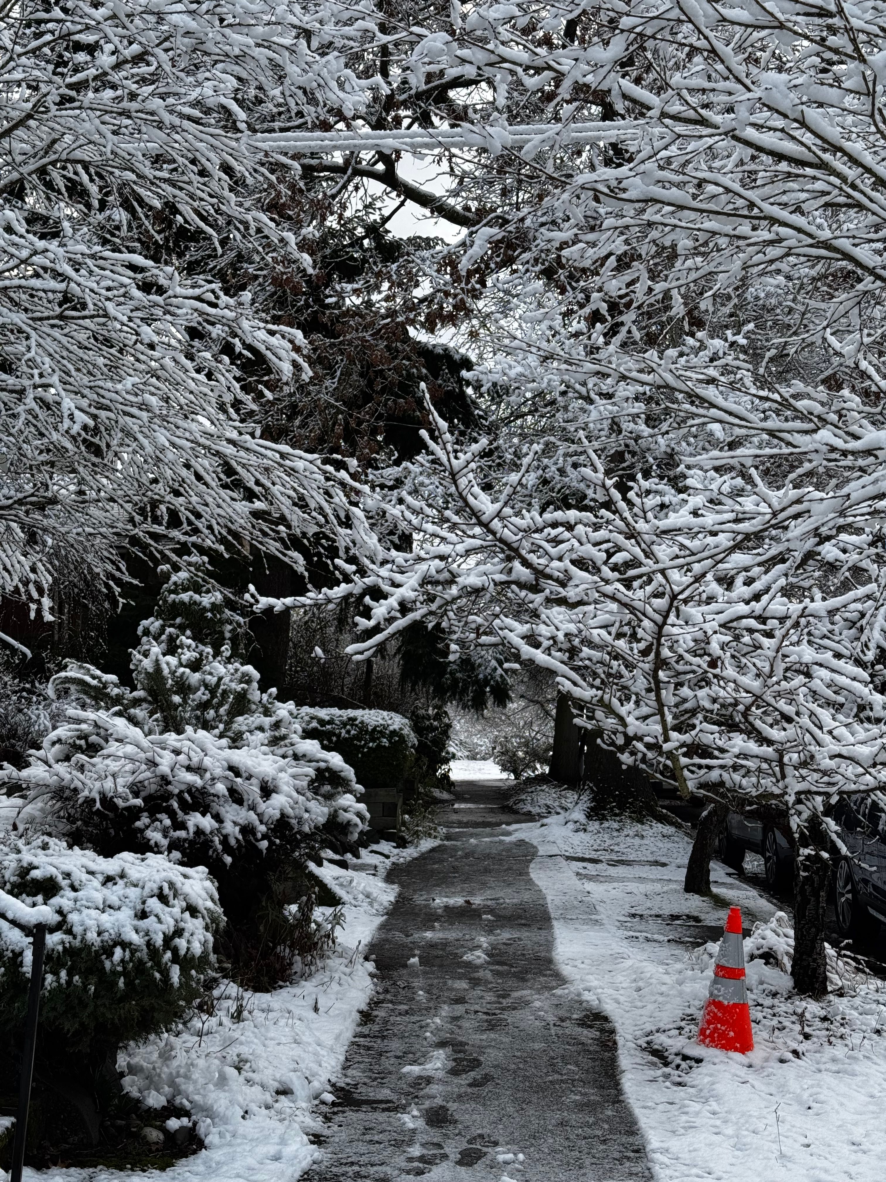 A snowy street
